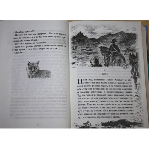 Відчайдушний. Книга 1. Камінь у плоті: Кількість сторінок 416