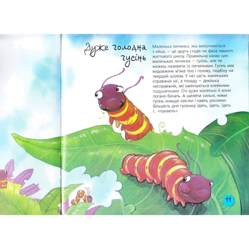 Алехандро Альгара: Пізнаю світ. Метелики: ISBN 978-966-10-3128-8