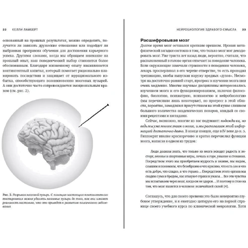 Келлі Ламберт: Нейробиология здорового глузду: ISBN 978-5-389-14928-1