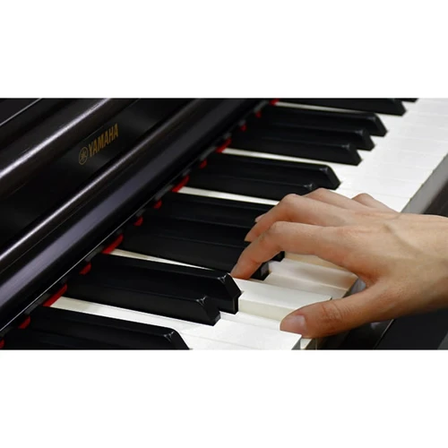 Цифровое пианино YAMAHA ARIUS YDP-164WA (+блок питания): Количество клавиш 88 (7.5 октав)