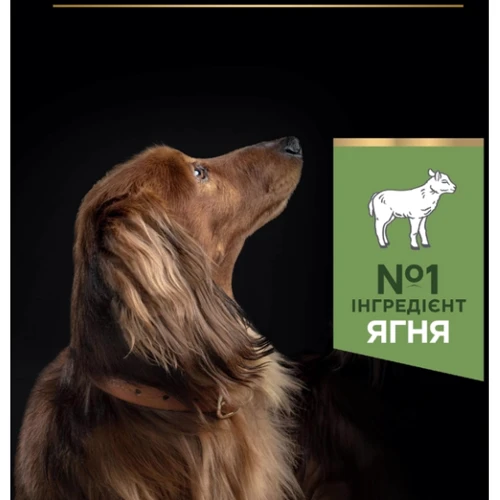 Сухой корм для собак Purina ProPlan Small&Mini Sens digestion с чувствительным пищеварением с ягненком 700 г (7613036611299): Класс Супер премиум