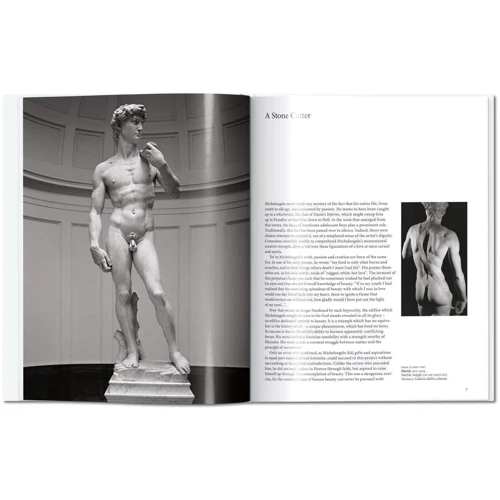 Gilles Neret: Michelangelo: Жанр Искусство и фотография