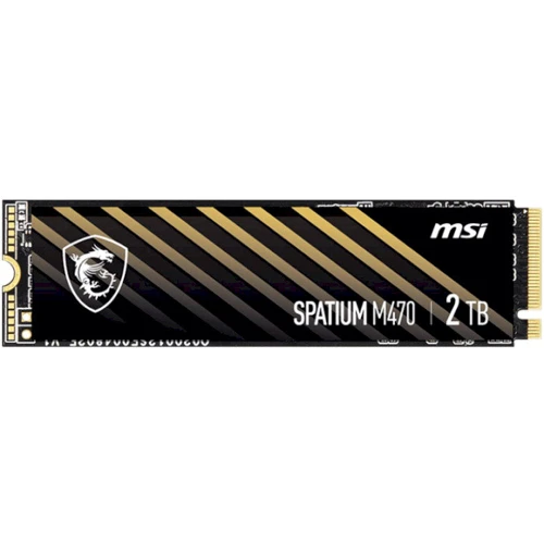 MSI Spatium M470 2 TB (S78-440Q470-P83)