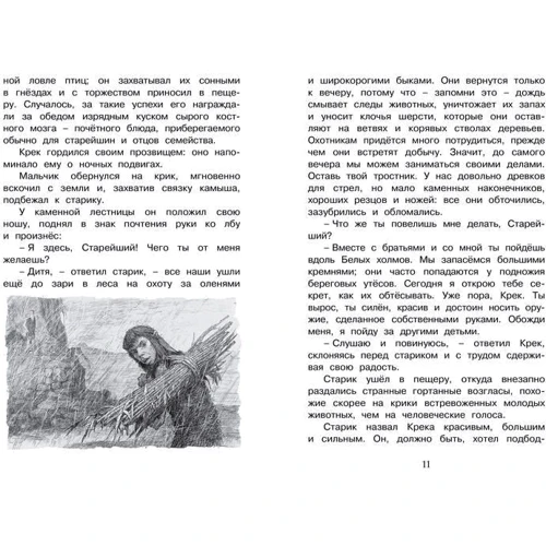Эрнест Д'Эрвильи. Приключения доисторического мальчика: Обложка Твердая