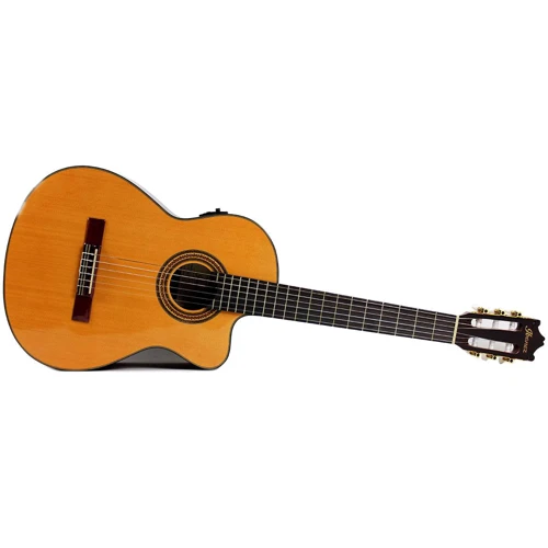 Класична гітара Ibanez GA6CE AM: Кількість струн 6