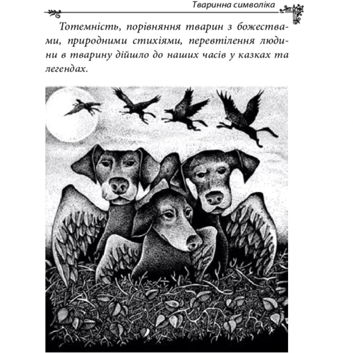 Олексій Кононенко: Українська міфологія. Тваринна та рослинна символіка: Количество страниц 448