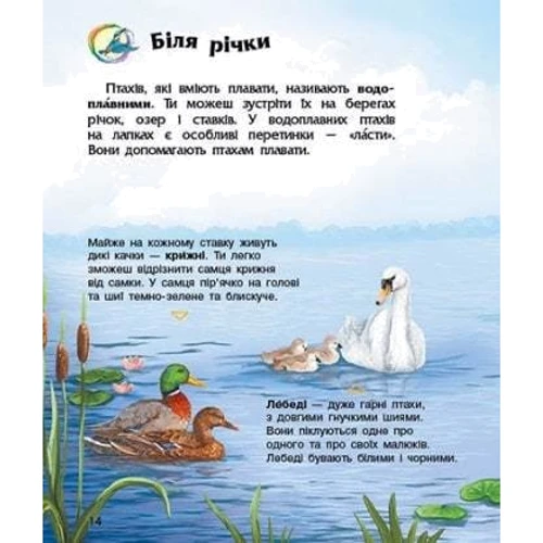 Енциклопедія дошкільника. Птахи: ISBN 978-617-09-6914-9