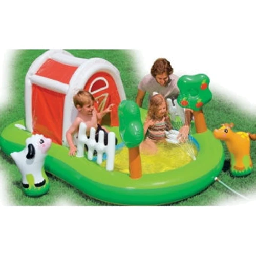 Intex 57455: Производитель Intex