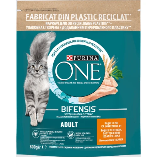 Сухой корм Purina ONE для взрослых кошек с курицей 800 г (7613035467866)