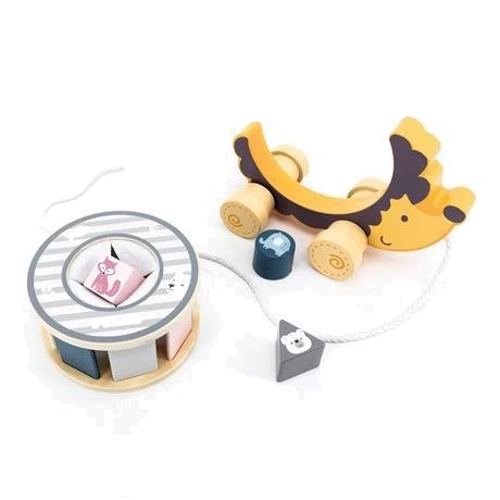 Дерев'яна каталка-сортер Viga Toys PolarB Їжачок (44025)