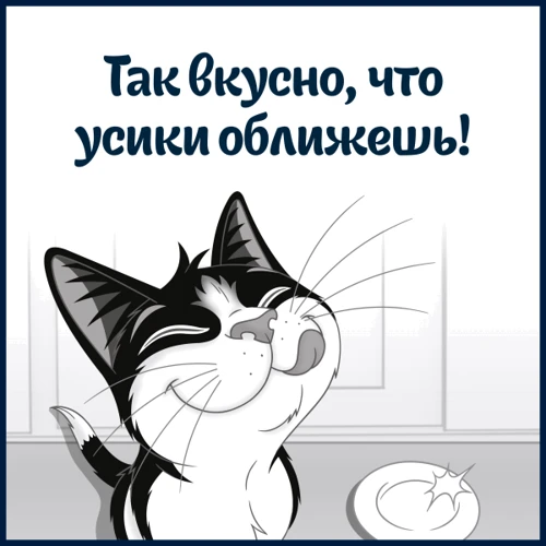 Влажный дополнительный корм FELIX Суп для взрослых кошек с говядиной 48 г (7613036632294): Основные ингредиенты Говядина