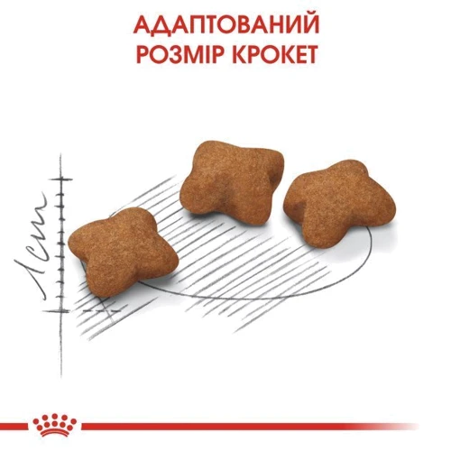 Сухой корм для стерилизованных котят Royal Canin Kitten Sterilised 2 кг (2562020): Возраст Котята