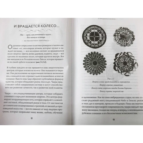 Анодея Джудит: Чакры. Полная энциклопедия: Производитель Форс