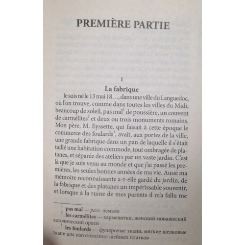 Alphonse Daudet: Le Petit Chose: Обкладинка Мягкая