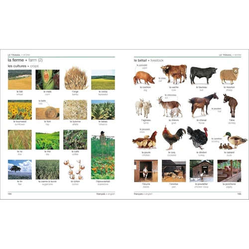 Bilingual Visual Dictionary French-English: Количество страниц 360