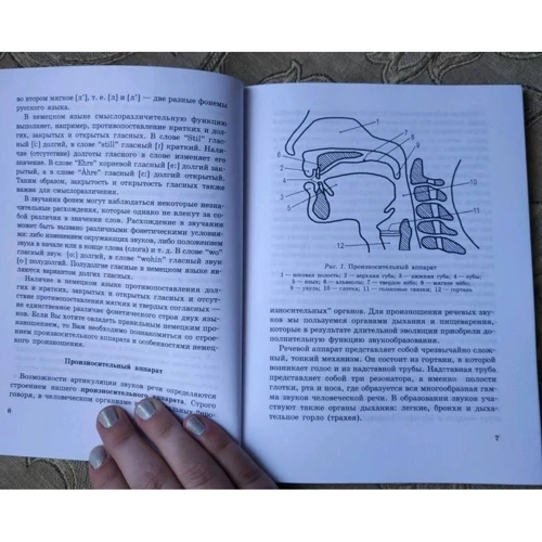 М. Н. Гузь, И. О. Ситникова: Фонетика немецкого языка. Читаем и говорим по-немецки: Количество страниц 160