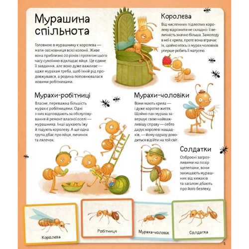 Степанка Секанінова: Світ мурах: Кількість сторінок 40