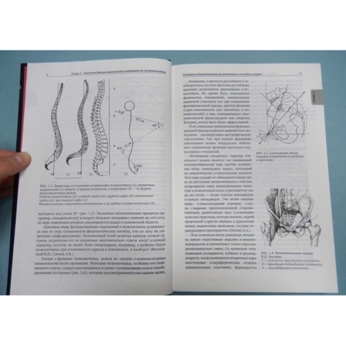 В. А. Єпіфанов, А. В. Єпіфанов: Остеохондроз хребта: ISBN 978-5-699-57963-1