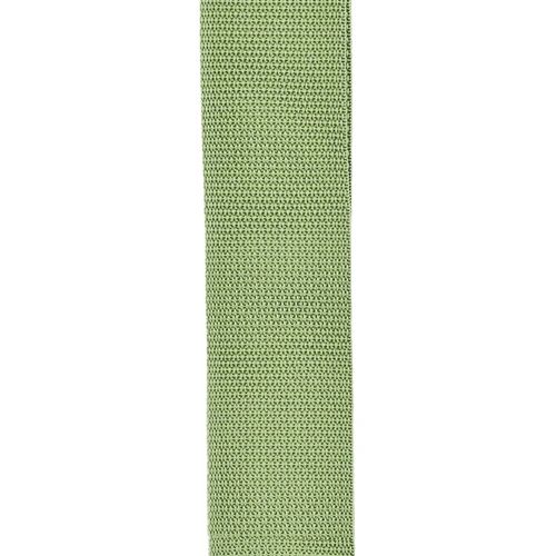 Гитарный ремень PLANET WAVES PWS107 POLYPRO GUITAR STRAP (GREEN): Тип Ремни