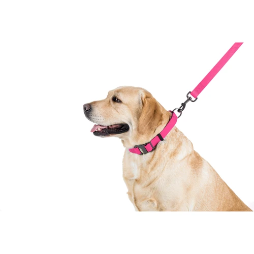 Ошейник WAUDOG Waterproof водостойкий, пряжка крючок 25 мм 35-70 см розовый (27197): Цвет розовый