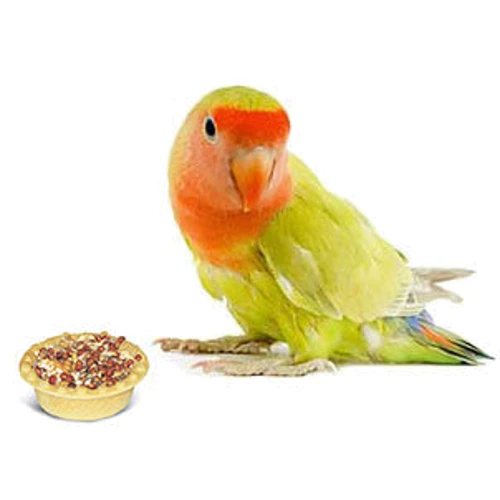 Товары для птиц