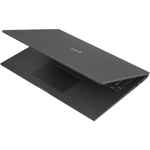 Ноутбук LG Gram (17ZB90R-K.ADC8U3): Оперативна пам'ять 32 ГБ