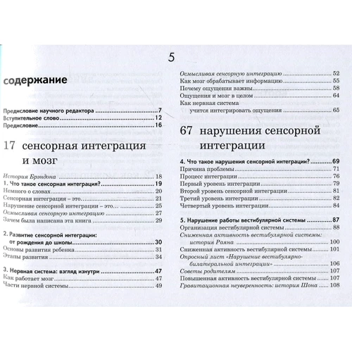 Джин Айрес: Ребенок и сенсорная интеграция. Понимание скрытых проблем развития: Автор Джин Айрес