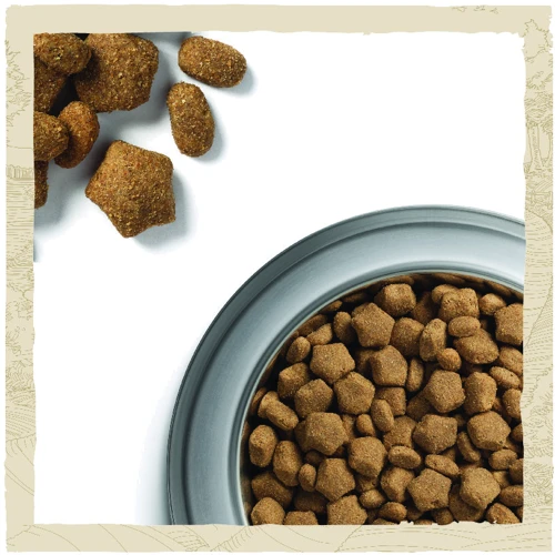 Сухой корм Dog Chow Active Adult 1+ для собак с повышенной активностью с курицей 2.5кг (12493230): Порода Все породы