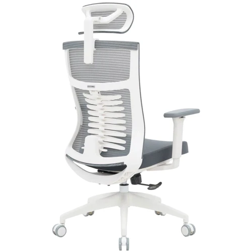 Офісне крісло OfficePro Balance (OC550-W-DG-DG): Матеріал оббивки Тканина, З сіткою