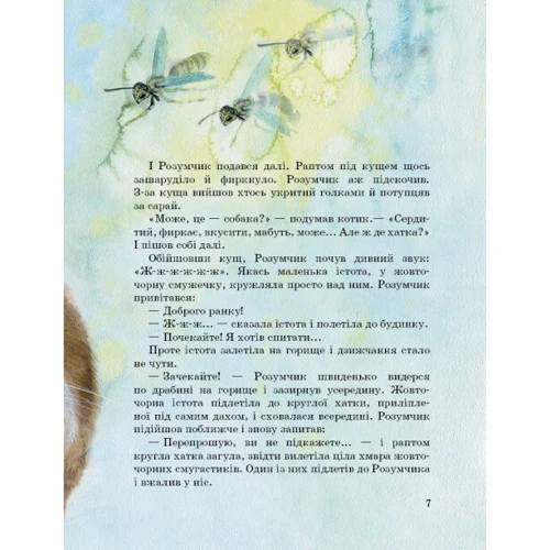 Марія Козіренко: Коті. Такі, як ти: Обкладинка Твердая
