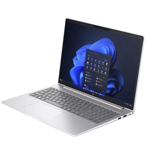 Ноутбук HP ProBook 460 G11 (A1LE1UT): Тип экрана матовый