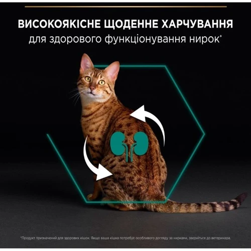 Сухий корм Pro Plan RENAL PLUS з куркою 1.5 кг (7613036505956) фото 10