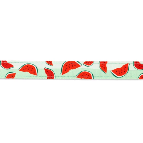 Шлейки для собак Max & Molly H-Harness - Watermelon S (4894512015784) фото 2