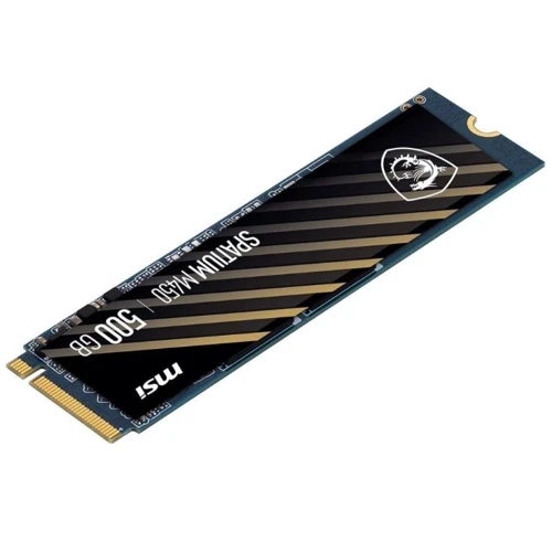 MSI Spatium M450 500 GB (S78-440K090-P83): Обсяг 500 ГБ