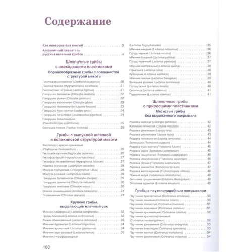 Большая энциклопедия грибника. Съедобные и несъедобные. Собираем и готовим: Обложка Твердая