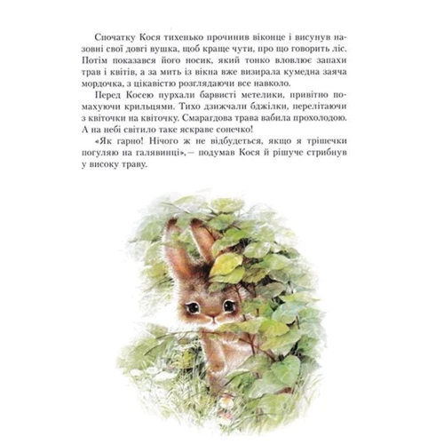 Людмила Кравченко. Кося. Таємниця справжньої дружби: Обкладинка Тверда