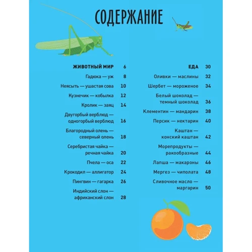 Гийом Плантвен: Чем они отличаются? 58 пар, которые легко перепутать: Количество страниц 136