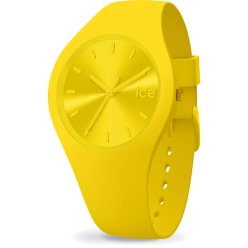 Наручные часы Ice-Watch 017909