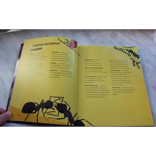 Анна Клейборн: Комахи за 30 секунд: ISBN 978-5-386-09267-2