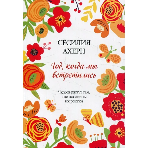 Сесілія Ахерн. Рік, коли ми зустрілися