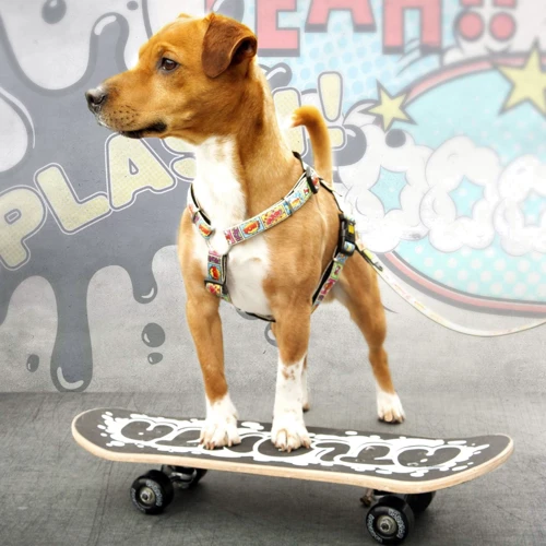 Шлейка для собак Max & Molly Urban Pets H-Harness - Comic/М 2 см 53-69 см (4894512013698) фото 2