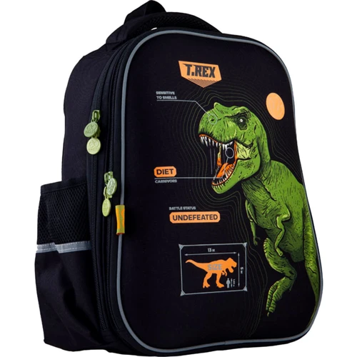 Рюкзак GoPack Education полукаркасный 165-1 Dinosaur GO21-165M-6: Размер M (130-145 см)