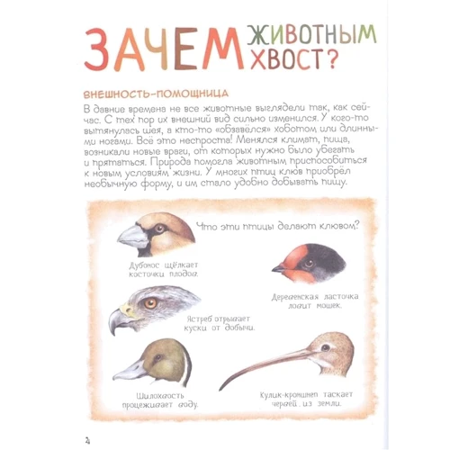 Дивовижний світ тварин. Енциклопедія для малюків: Обкладинка Твердая