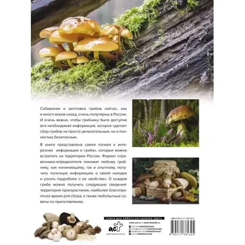 Большая энциклопедия грибника. Съедобные и несъедобные. Собираем и готовим фото 8