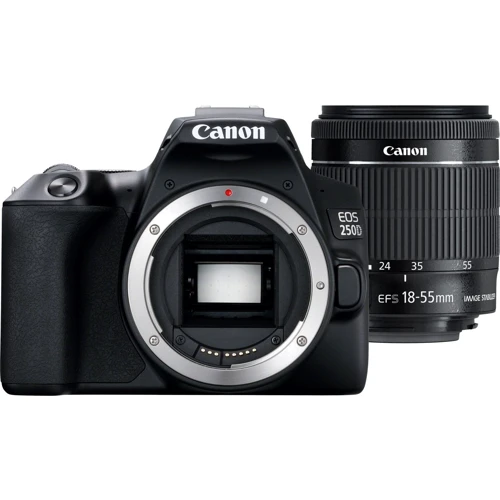 Canon EOS 250D Body: Размер матрицы, мм APS-C