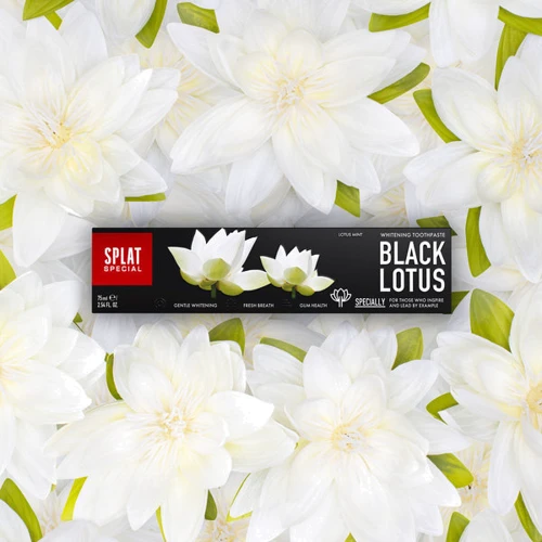 SPLAT Special Black Lotus 75 ml Зубна паста "Чорний лотос": Кількість в упаковці, шт 1