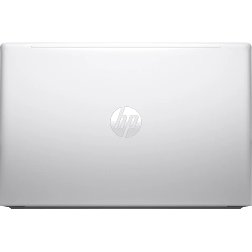 Ноутбук HP ProBook 450 G10 (968Q9ET): Оперативная память 16 ГБ