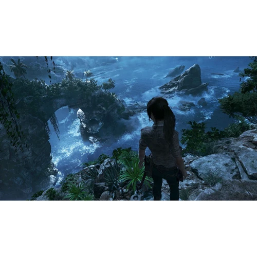 Shadow of the Tomb Raider Definitive Edition (PS4): Серія приставки PlayStation 4