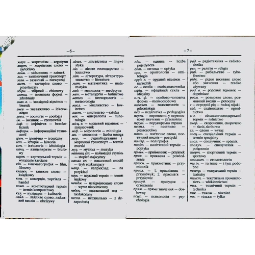 Польсько-український, українсько-польський словник. 35 тис. слів: Количество страниц 544
