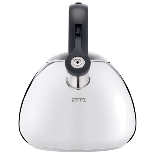 Чайник Tefal Kettle ss Induction 2.7 л (K2481574): Объем, л 2.7